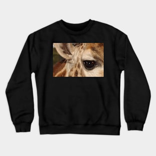 Eye, Ear & Wrinkles Crewneck Sweatshirt